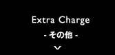 Extra Charge - その他 -